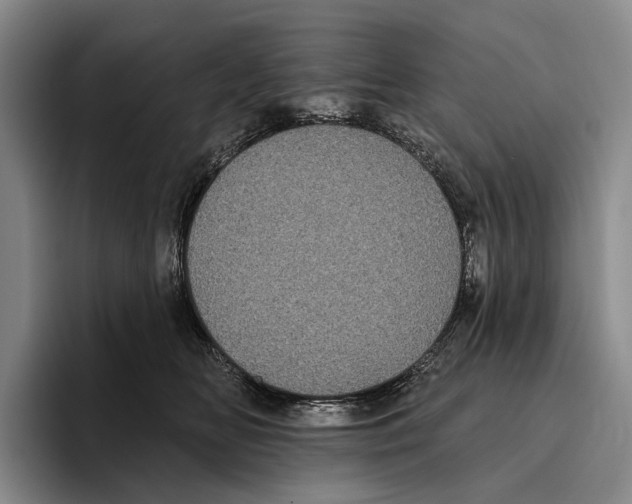 X0000096130518200802151316