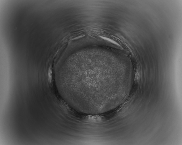 X0000096130520200802151316