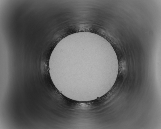 X0000096130522200802151316