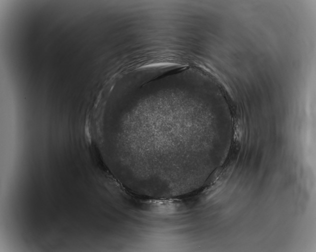 X0000096130524200802151316