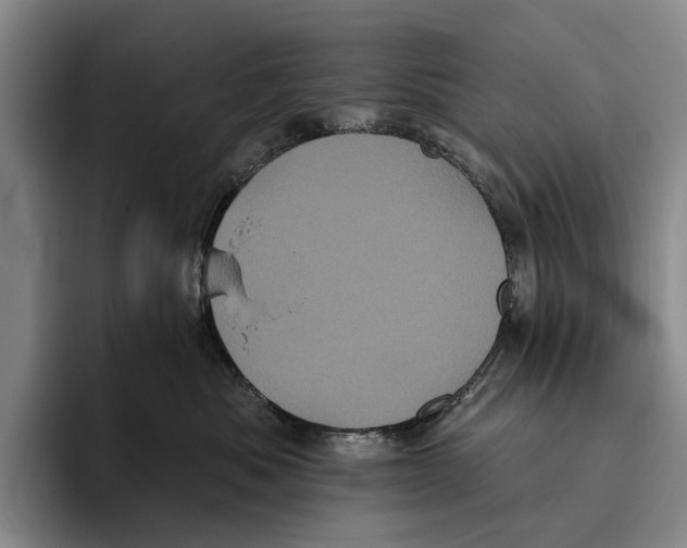 X0000096130525200802151316