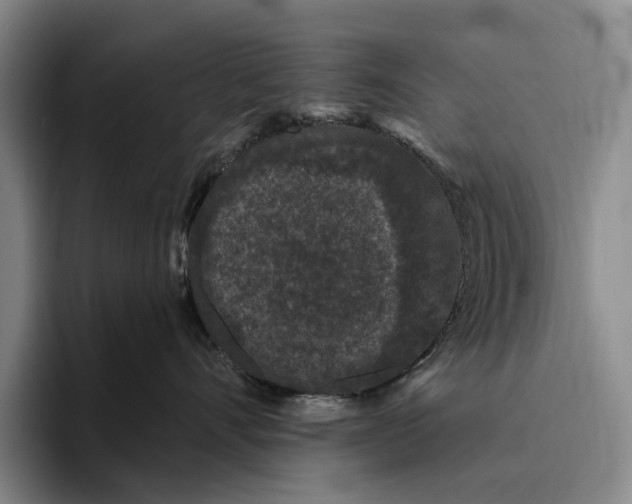 X0000096130528200802151316