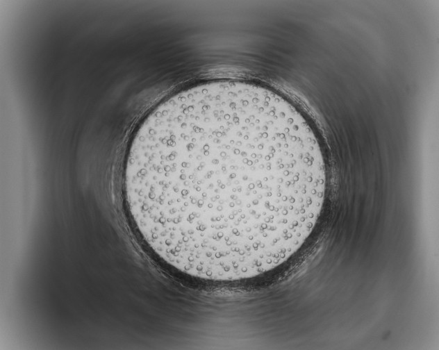 X0000096130529200802151315