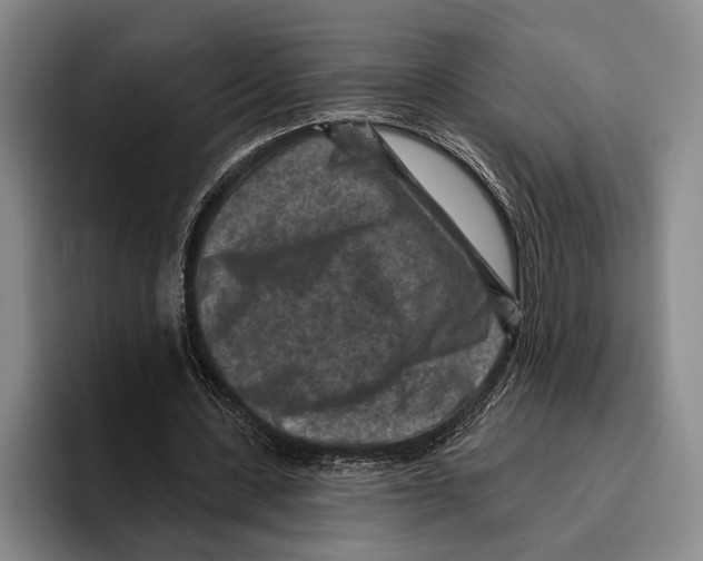 X0000096130531200802151316