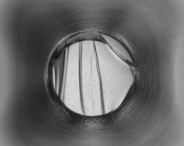 X0000096130532200802151316