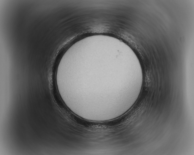 X0000096130535200802151316