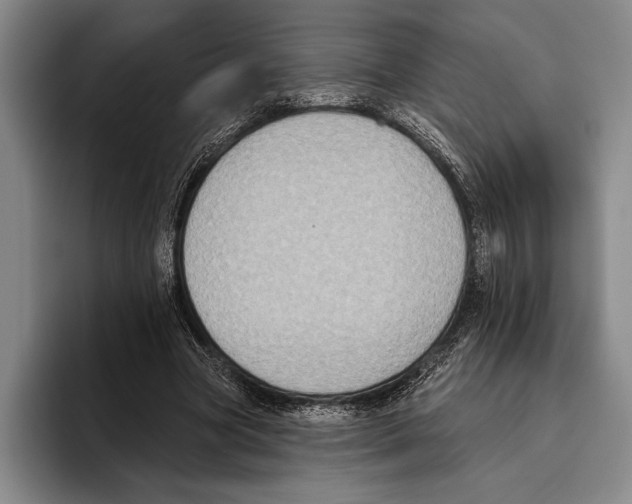 X0000096130537200802151316