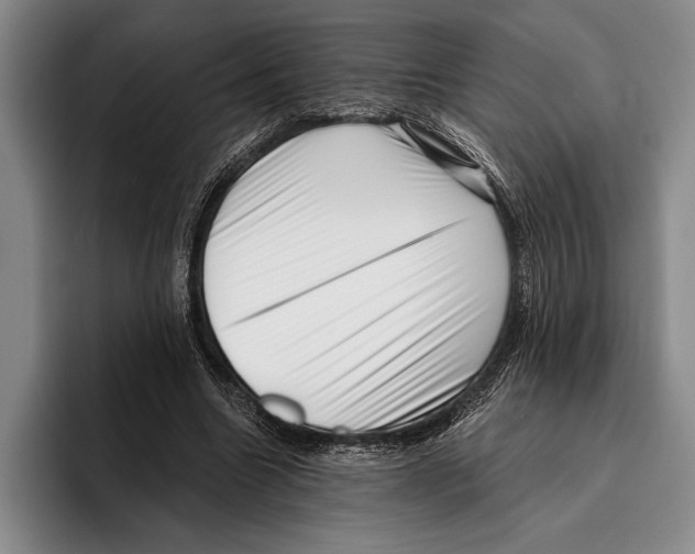 X0000096130538200802151316