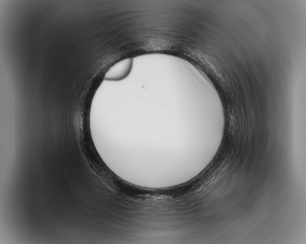 X0000096130539200802151316