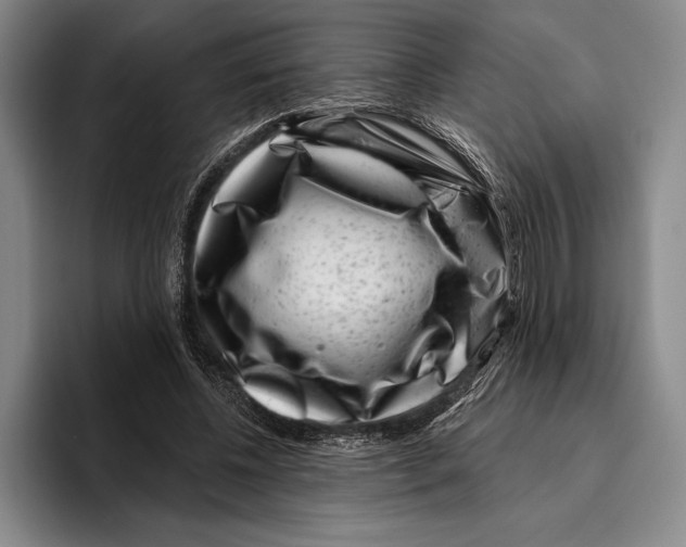 X0000096130540200802151316