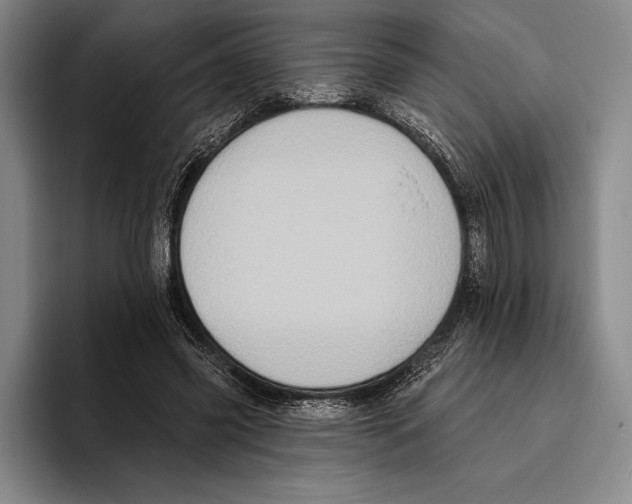 X0000096130541200802151316