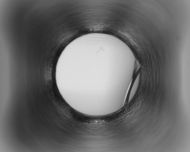 X0000096130543200802151316