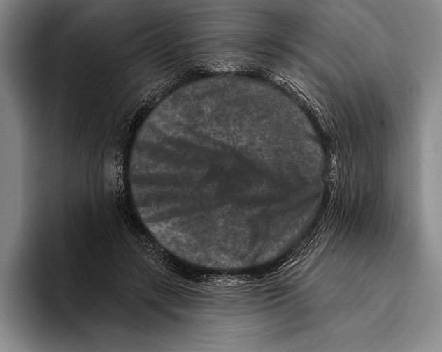 X0000096130547200802151316