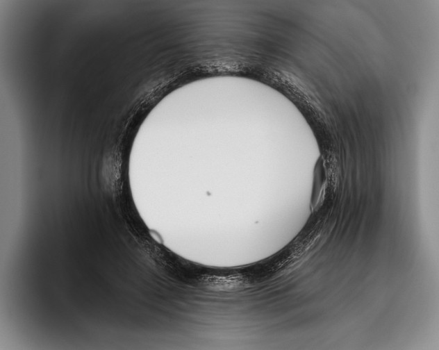 X0000096130548200802151316