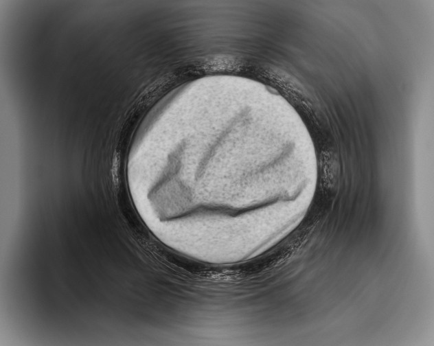 X0000096130550200802151316