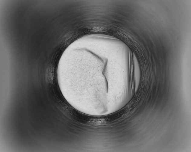 X0000096130554200802151316