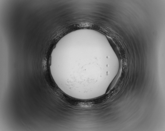 X0000096130556200802151316