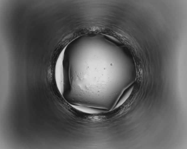 X0000096130558200802151316