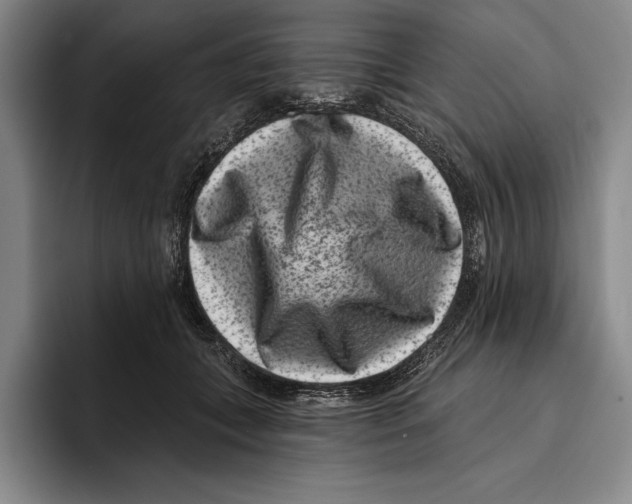 X0000096130559200802151316