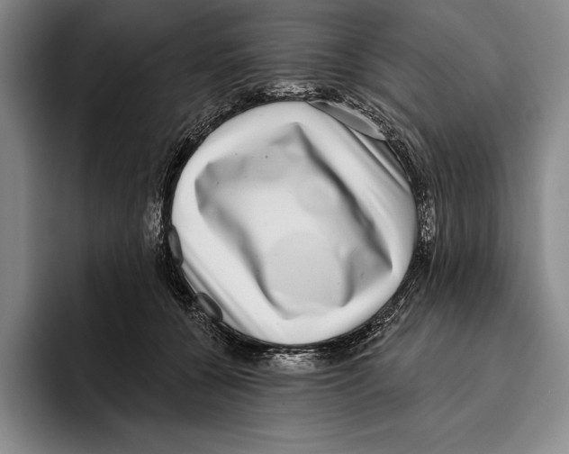 X0000096130560200802151316