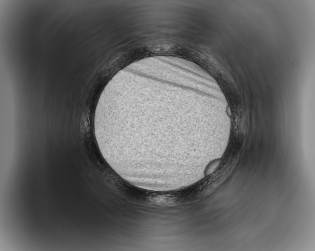 X0000096130561200802151316