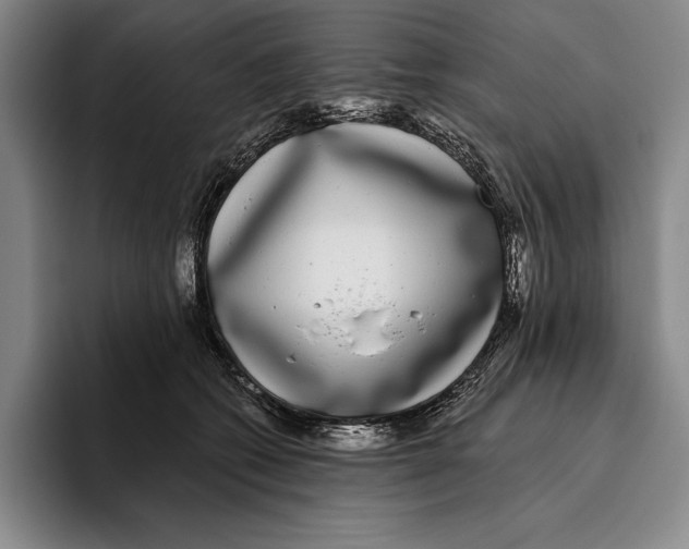 X0000096130562200802151316