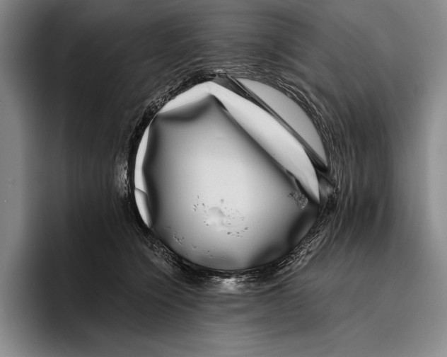 X0000096130564200802151316