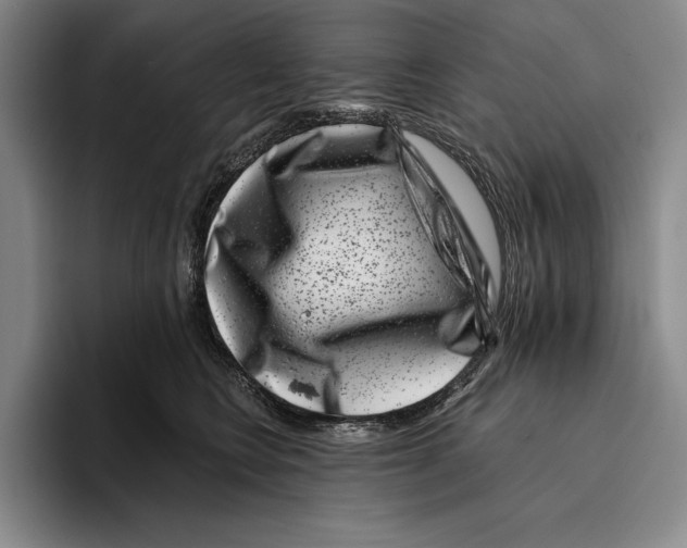 X0000096130566200802151316