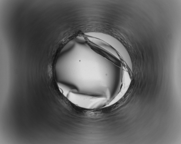 X0000096130568200802151316