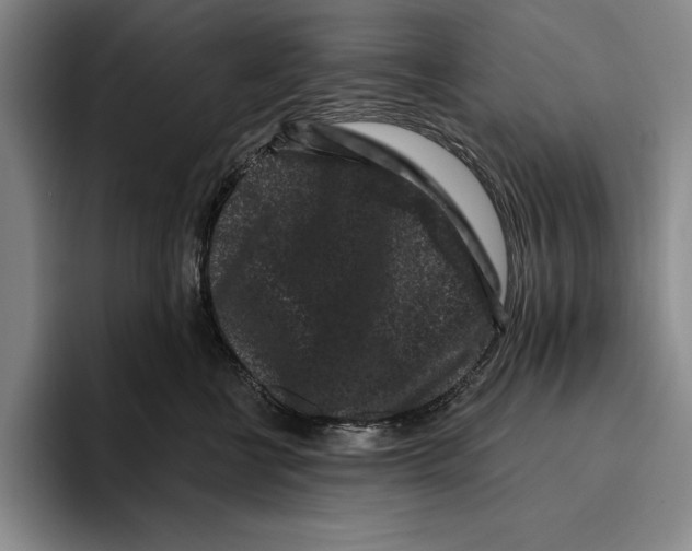 X0000096130570200802151316