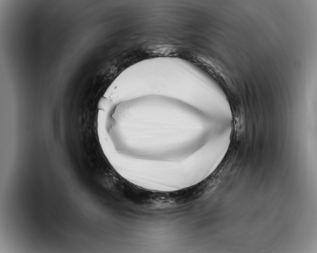 X0000096130572200802151316