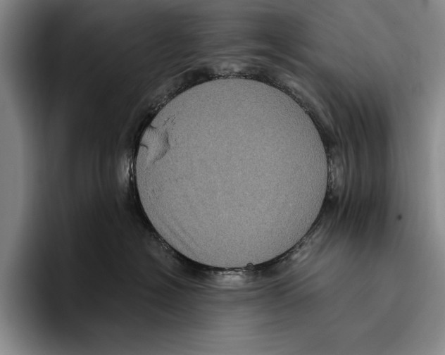 X0000096130574200802151316