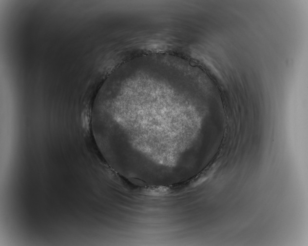 X0000096130576200802151316