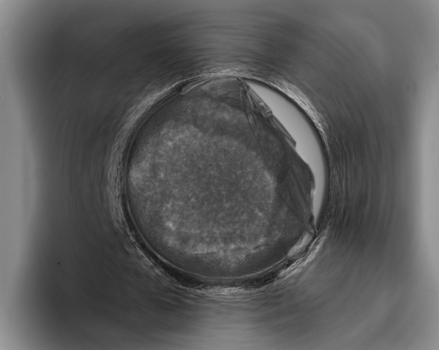 X0000096130577200802151315