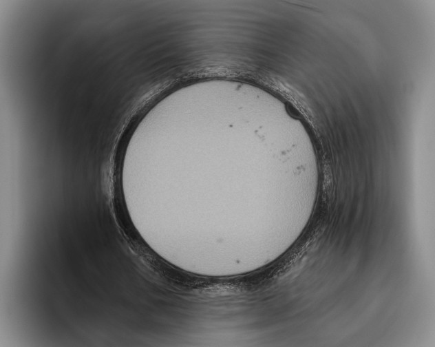 X0000096130578200802151315