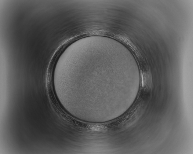 X0000096130579200802151315