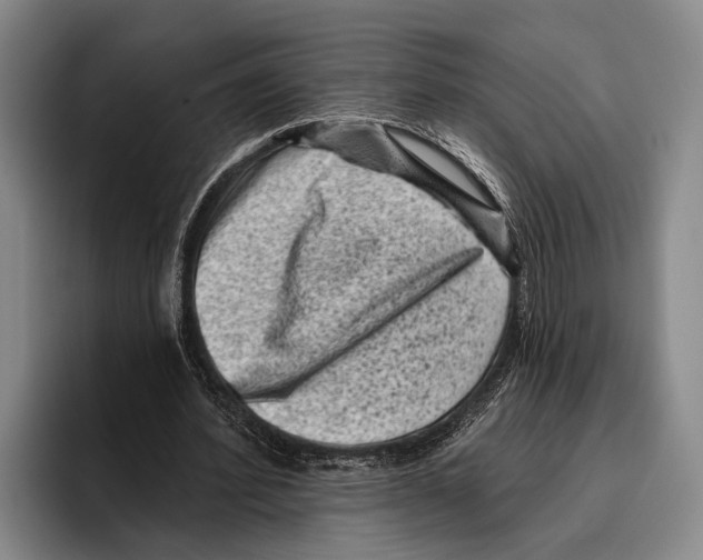 X0000096130580200802151315