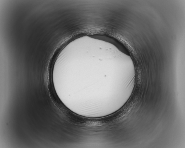 X0000096130582200802151315