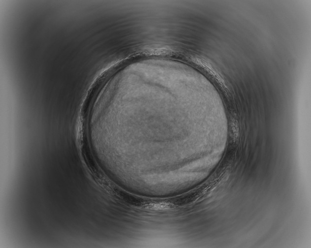 X0000096130583200802151315