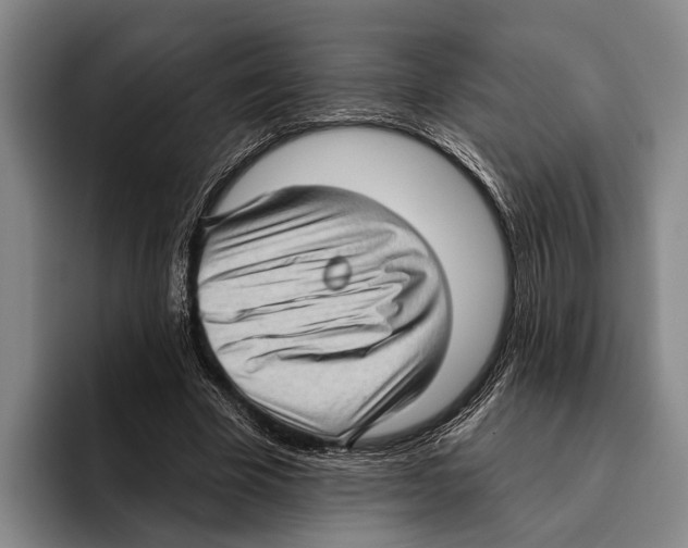 X0000096130585200802151315