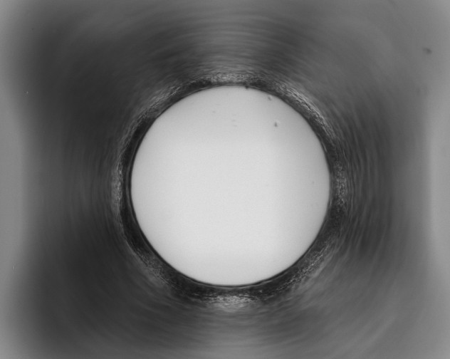 X0000096130586200802151315