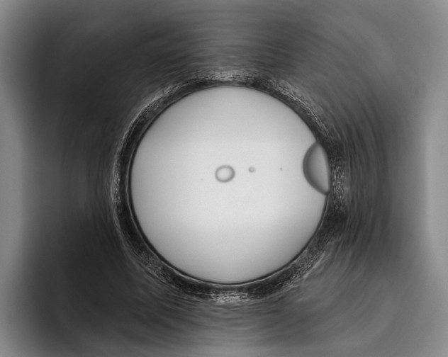 X0000096130587200802151315