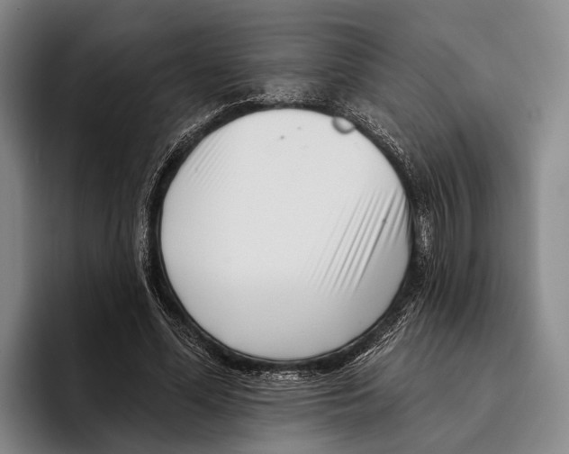 X0000096130588200802151315