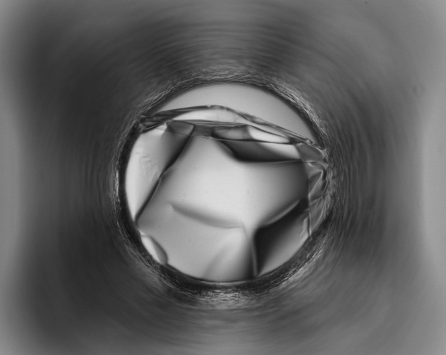 X0000096130589200802151315