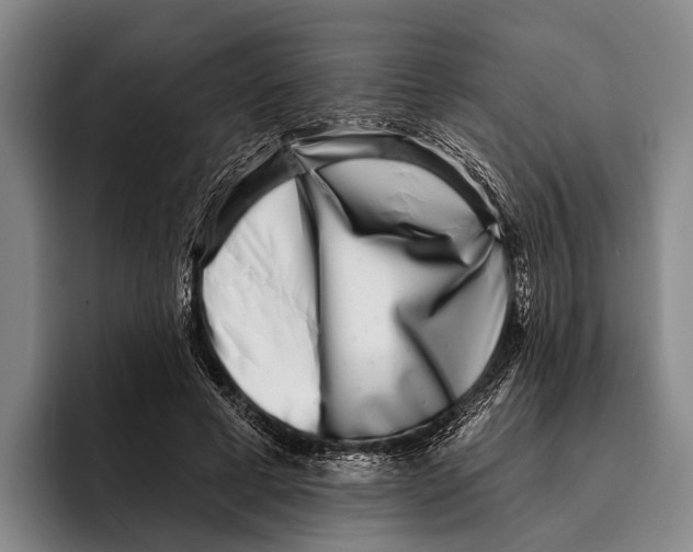 X0000096130593200802151315