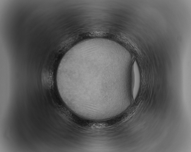 X0000096130599200802151315