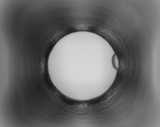 X0000096130600200802151315