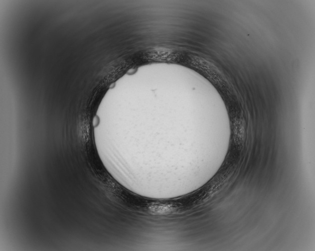 X0000096130602200802151315