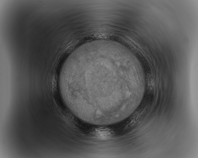 X0000096130603200802151315