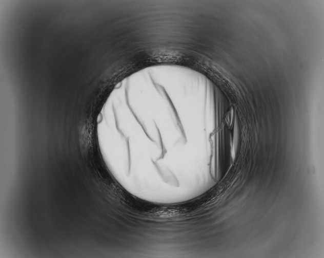 X0000096130604200802151315